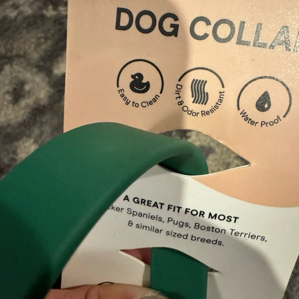 NWT Size Small Wild One Green Dog Collar